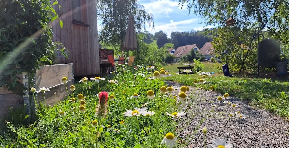 Machen ist wie wollen, nur krasser!