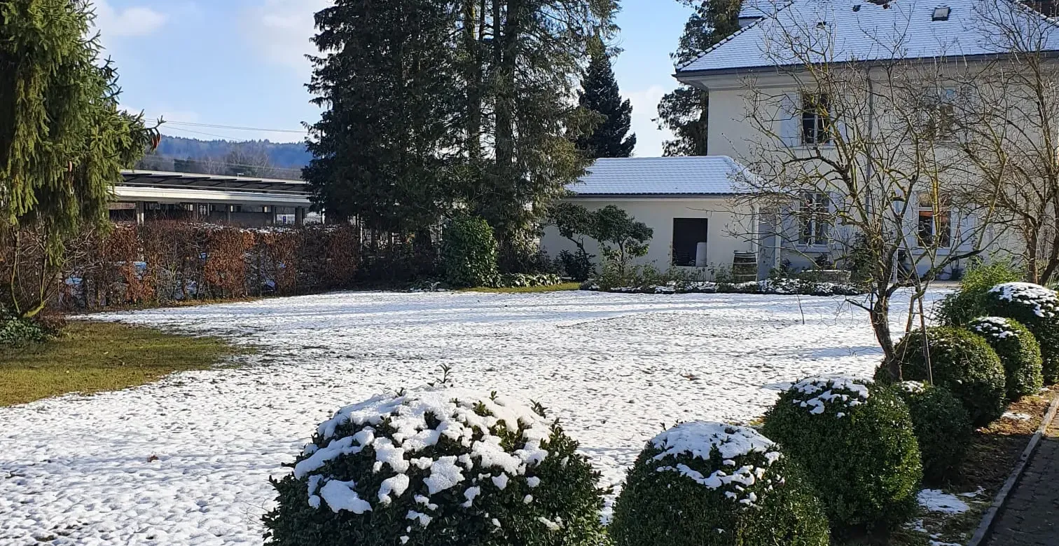 Besichtigung Grundstück