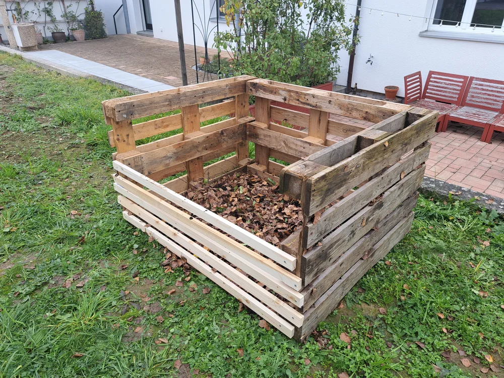 Kompostwürmer kurz nach der Lieferung – 500 rote Würmer für den Start