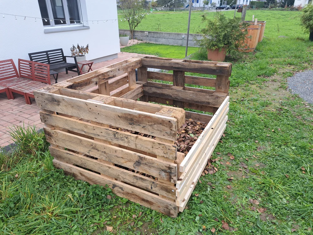 Kompostwürmer bei der Arbeit – organisches Material wird zu Erde