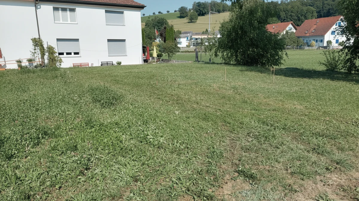 So findest du ein Grundstück für dein Tiny House