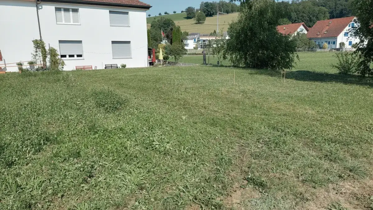 So findest du ein Grundstück für dein Tiny House
